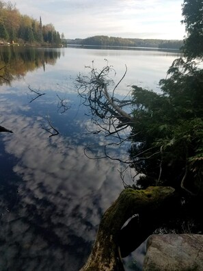 Un lago tranquilo con una orilla boscosa.