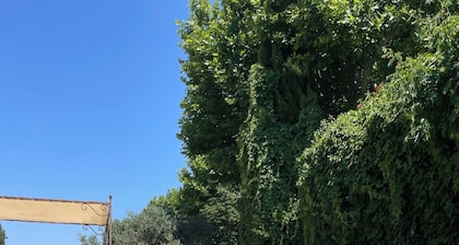 In the middle of the vineyard in the castel