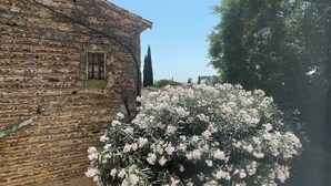 Un bâtiment en pierre avec une fenêtre et un arbuste en fleurs devant.