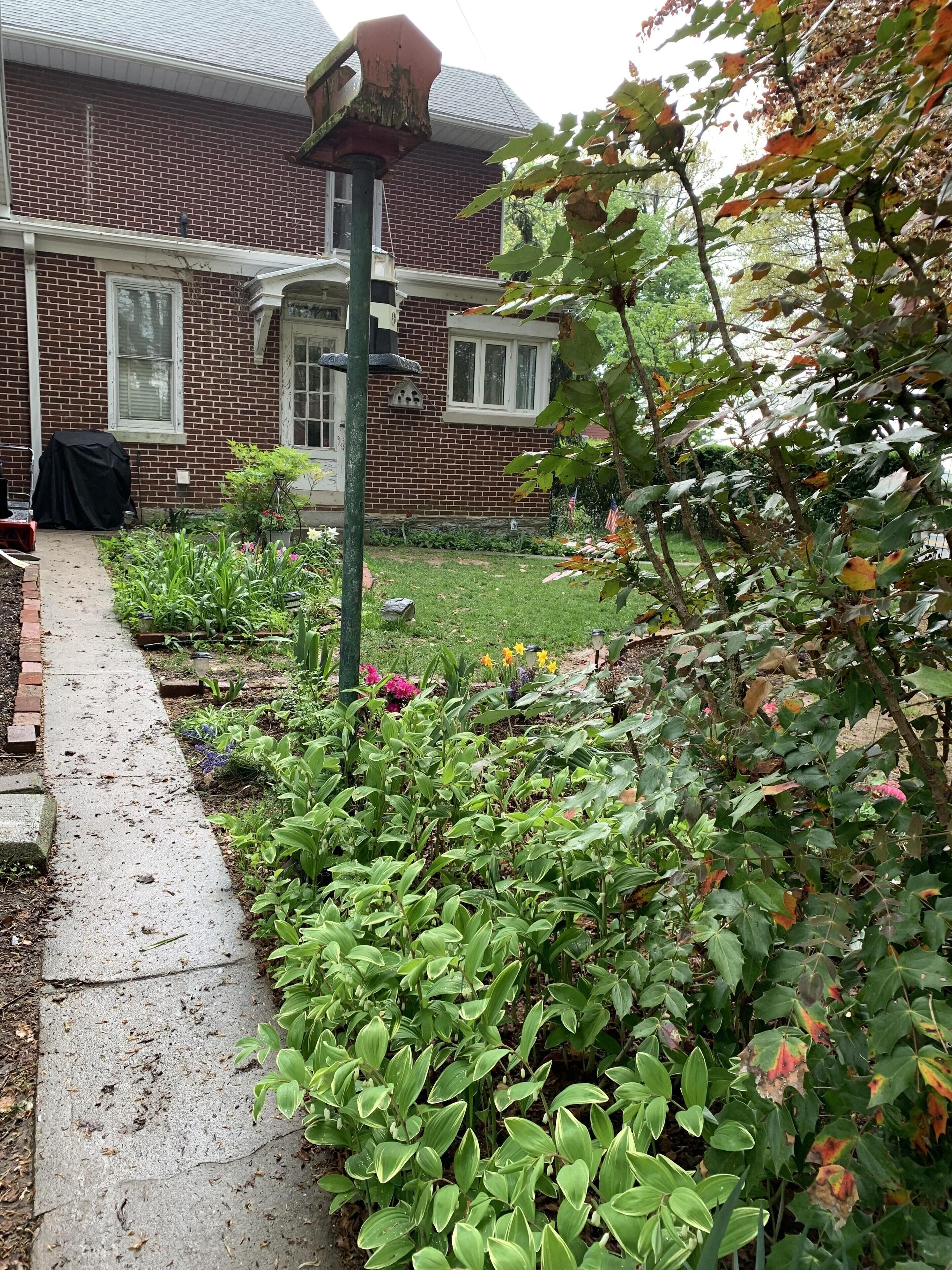 A brick house with a garden path leading to the front door.