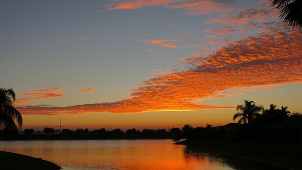 A sunset over a calm body of water with silhouettes of palm trees and a distant horizon.