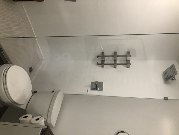 Une salle de bain avec des toilettes, une douche à parois de verre et un petit lavabo.