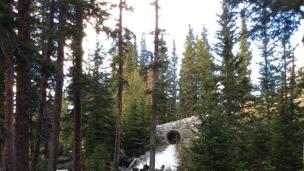 A natural stream flowing through a forest with tall trees and a rocky waterfall. - Custom home in St Mary’s Glacier (Idaho Springs)