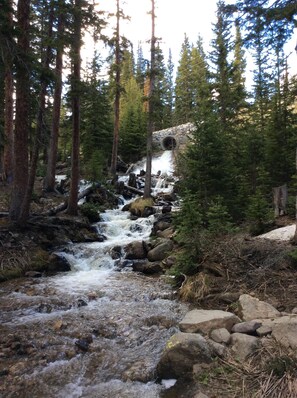 A natural stream flowing through a forest with tall trees and a rocky waterfall. - Custom home in St Mary’s Glacier (Idaho Springs)