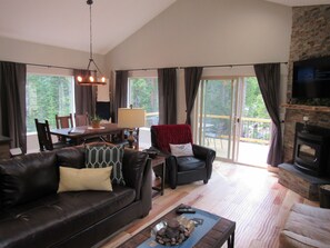 TV, fireplace, DVD player, books