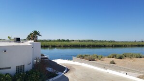 A river with a view of a building with a white facade and a palm tree. - River Front guest house with Ramp, Beach, Volleyball, and Gazebo on the Water (Big River)