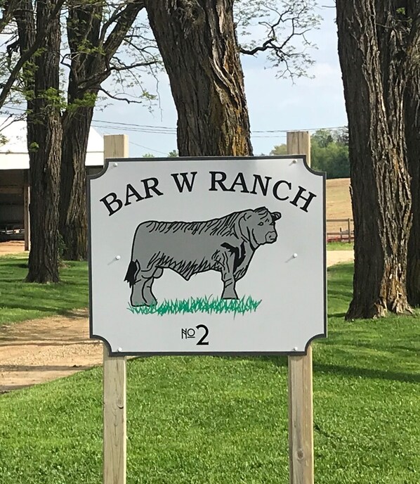 Área da propriedade