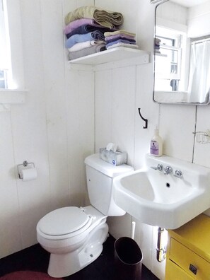 Duschwanne, Haartrockner, Handtücher, Seife