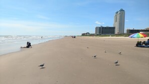 在海滩、沙滩椅