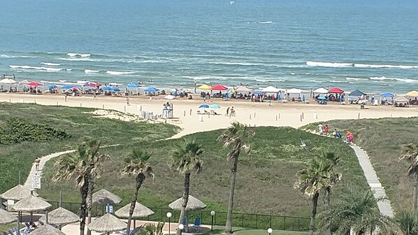 Uma praia com guarda-sóis, pessoas, palmeiras e um caminho que leva à água.
