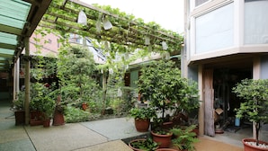 Et overdækket udendørs område med plantekasser og en træpergola.