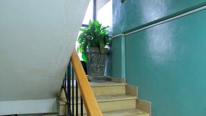 A staircase with a wooden handrail, a potted plant, and a green wall. - Yonas Hotel (Addis Ababa)