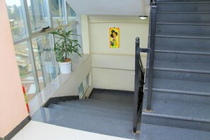 A staircase with a potted plant on the left and a wall with a framed picture.