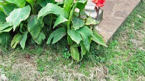 Exterior - Carol's Cozy Place (Nairobi)