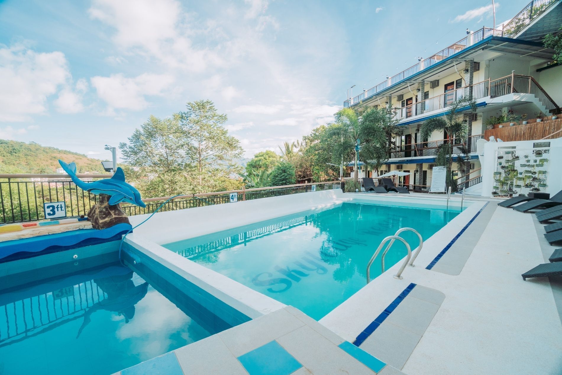 outdoor pool, pool loungers