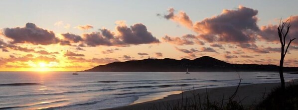 Enjoy a serene beach scene with a sailboat in the distance, surrounded by lush vegetation and a solitary tree.