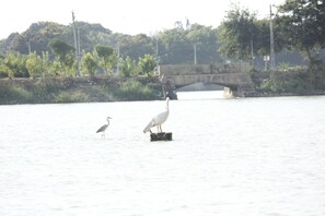 View from property - Hotel Shiv Lake (Bhuj)