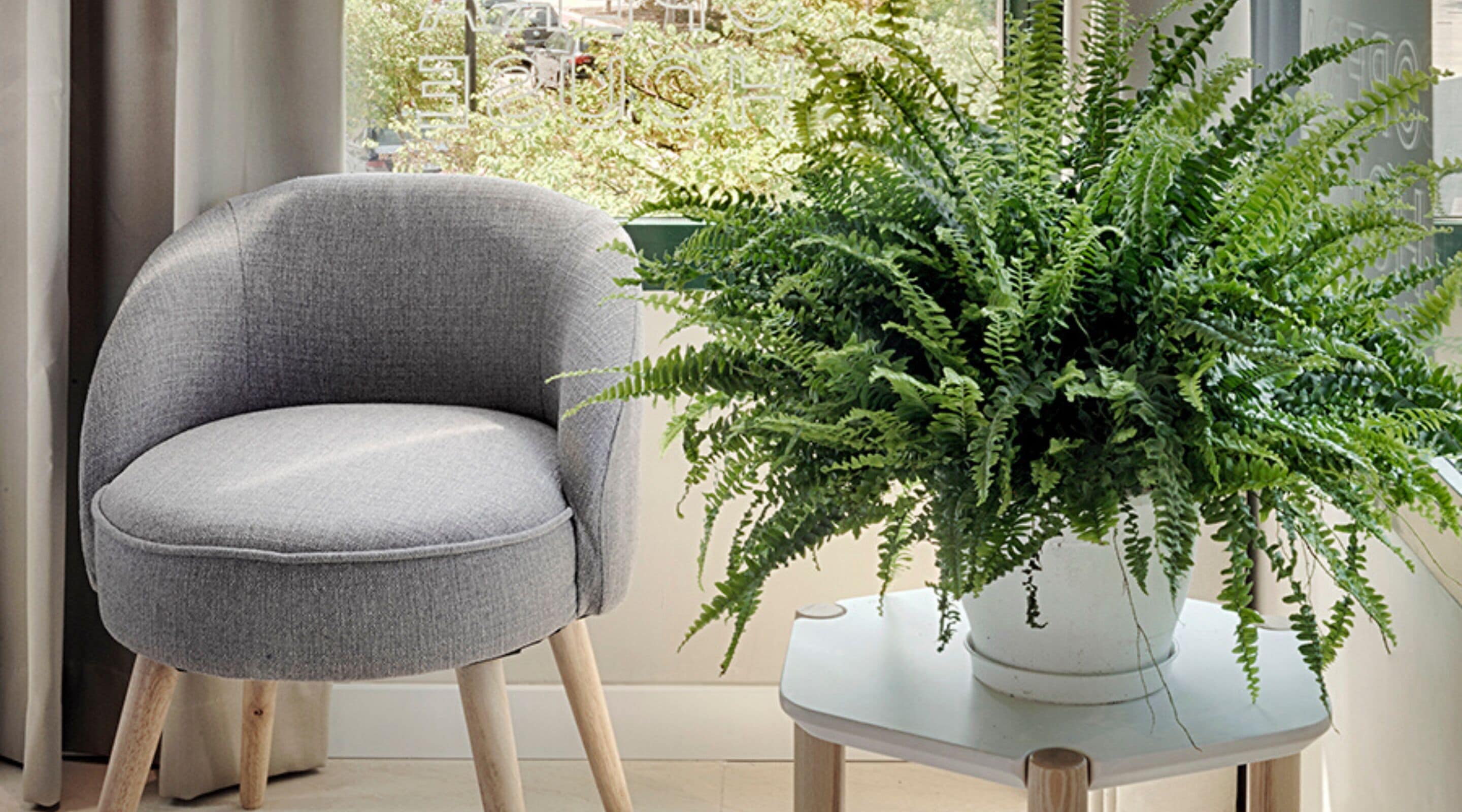 Photo - Opera House Valencia B&B