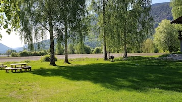 Tuin