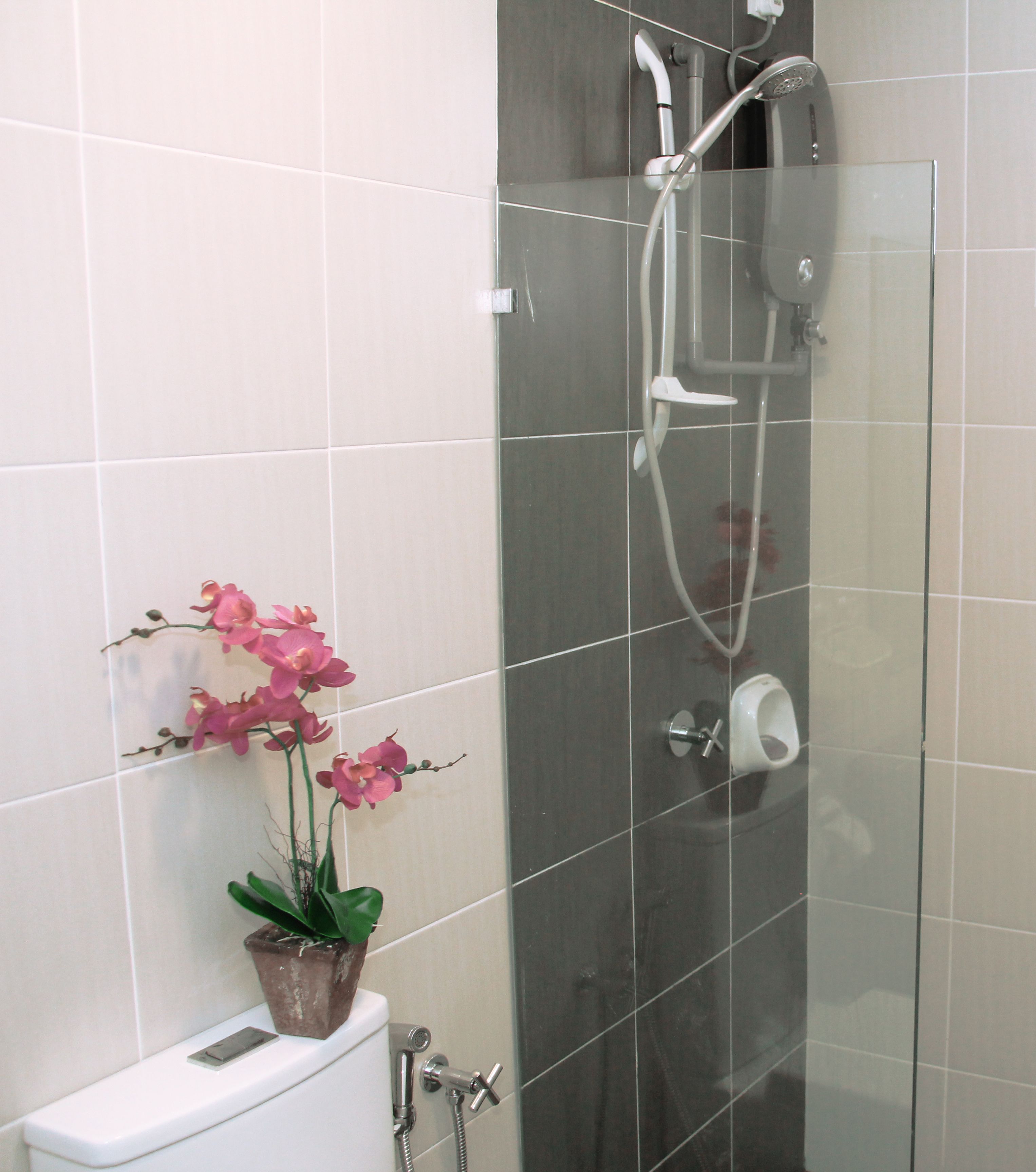 shower, free toiletries, hair dryer, slippers