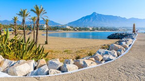 Une plage bordée d’un rivage rocheux, avec des palmiers et une montagne en arrière-plan.