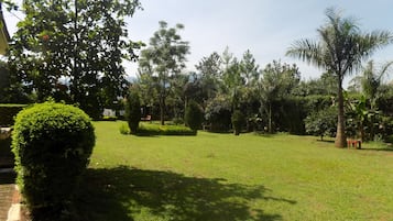 Jardim