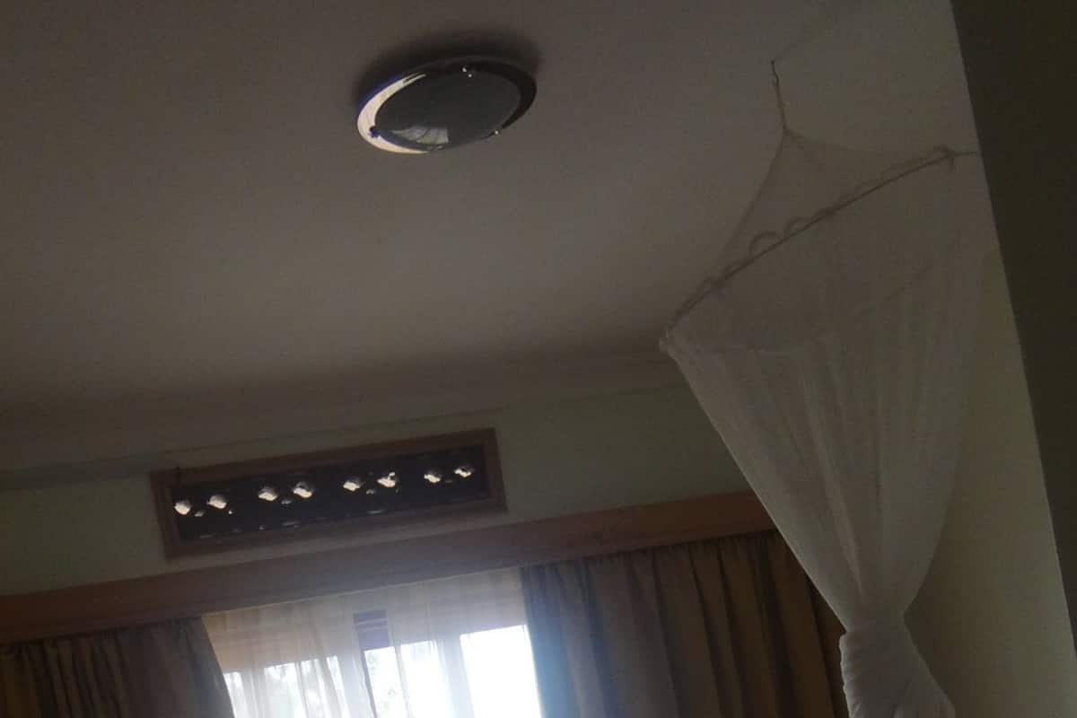A room with a bed, a window with curtains, a mosquito net, and a floral rug.