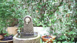 A garden with a stone fountain, potted plants, and a wall covered in ivy. - Hotel Pilar Garni (Cologne)