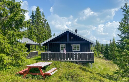 4 bedroom gorgeous home in Sjusjøen