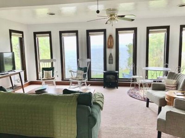 Smart TV, chimenea, reproductor de DVD y libros 