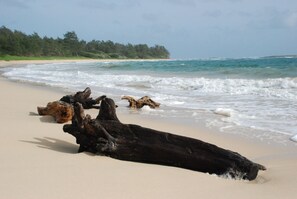 Chaises longues, serviettes de plage