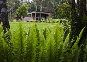 A modern house surrounded by lush greenery and trees. - Tyenna River Cottage (Tyenna)
