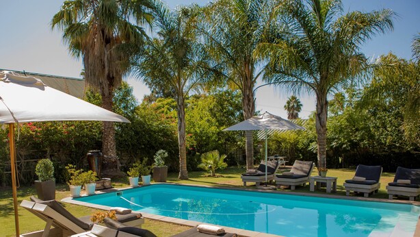 Une piscine entourée de palmiers et de verdure, avec des chaises longues et des parasols.
