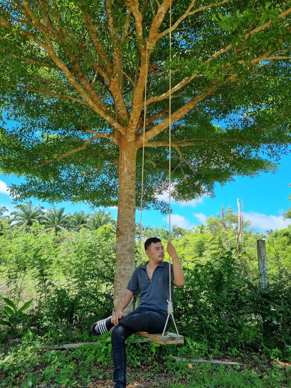 Una persona sentada en un columpio atado a un árbol en un entorno verde y exuberante.