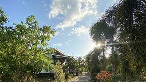 A paved pathway flanked by lush greenery and flowering plants, leading to a building with a sloped roof.