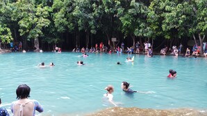 A natural pool surrounded by trees with people swimming and relaxing.