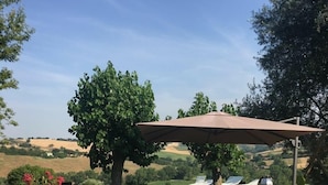 حديقة