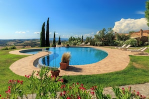 Una piscina de diseño curvo, rodeada por un solado pavimentado y abundante vegetación.