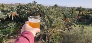 Garden view - Cinema Riad - Hostel (Tarmigt)