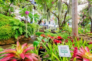 Garden - Bangkok Oasis Hotel (Bangkok)