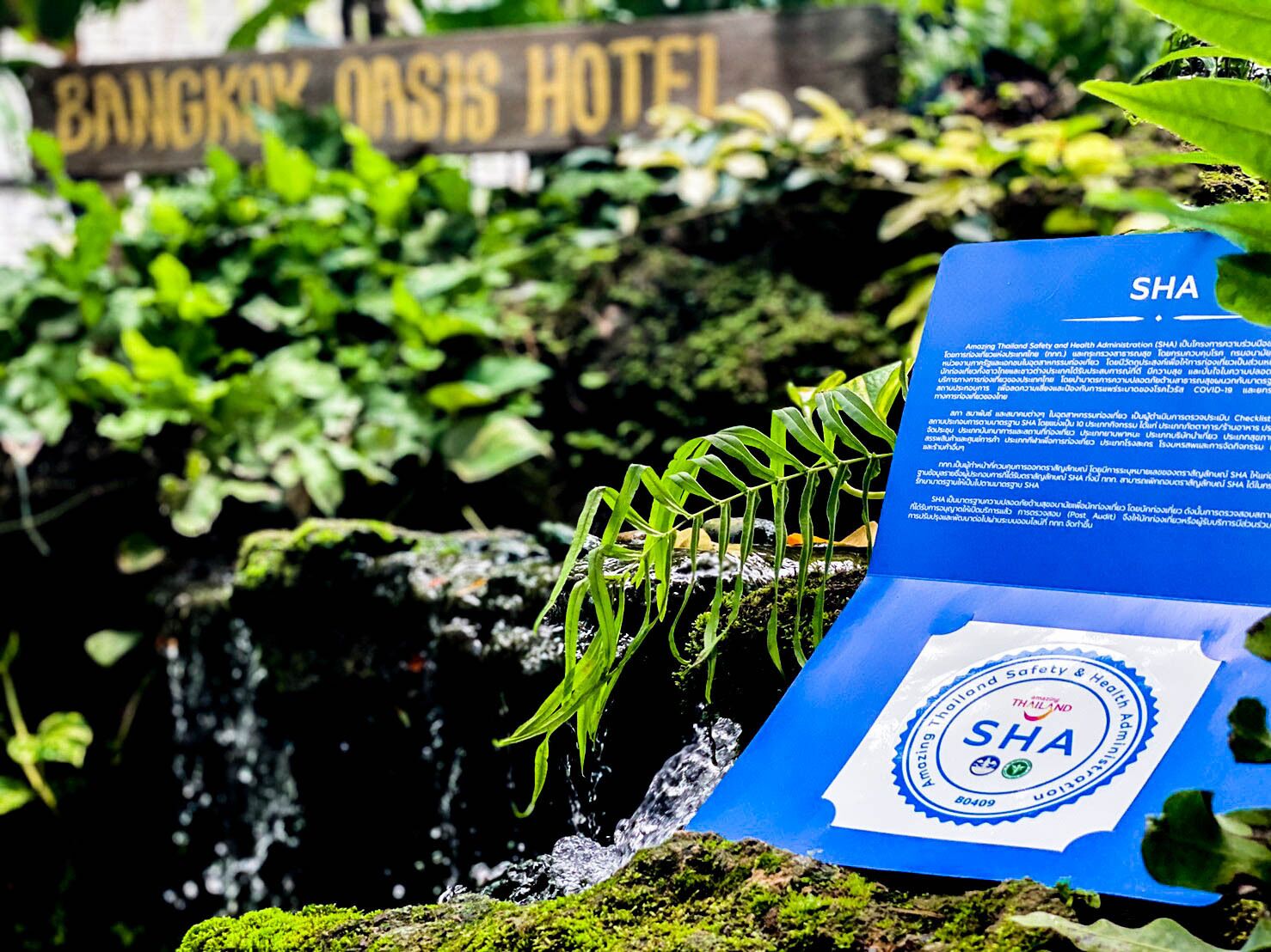 Foto - Bangkok Oasis Hotel