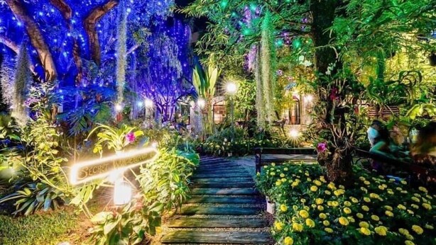 Um caminho de jardim com um banco de madeira, rodeado por diversas plantas e flores.