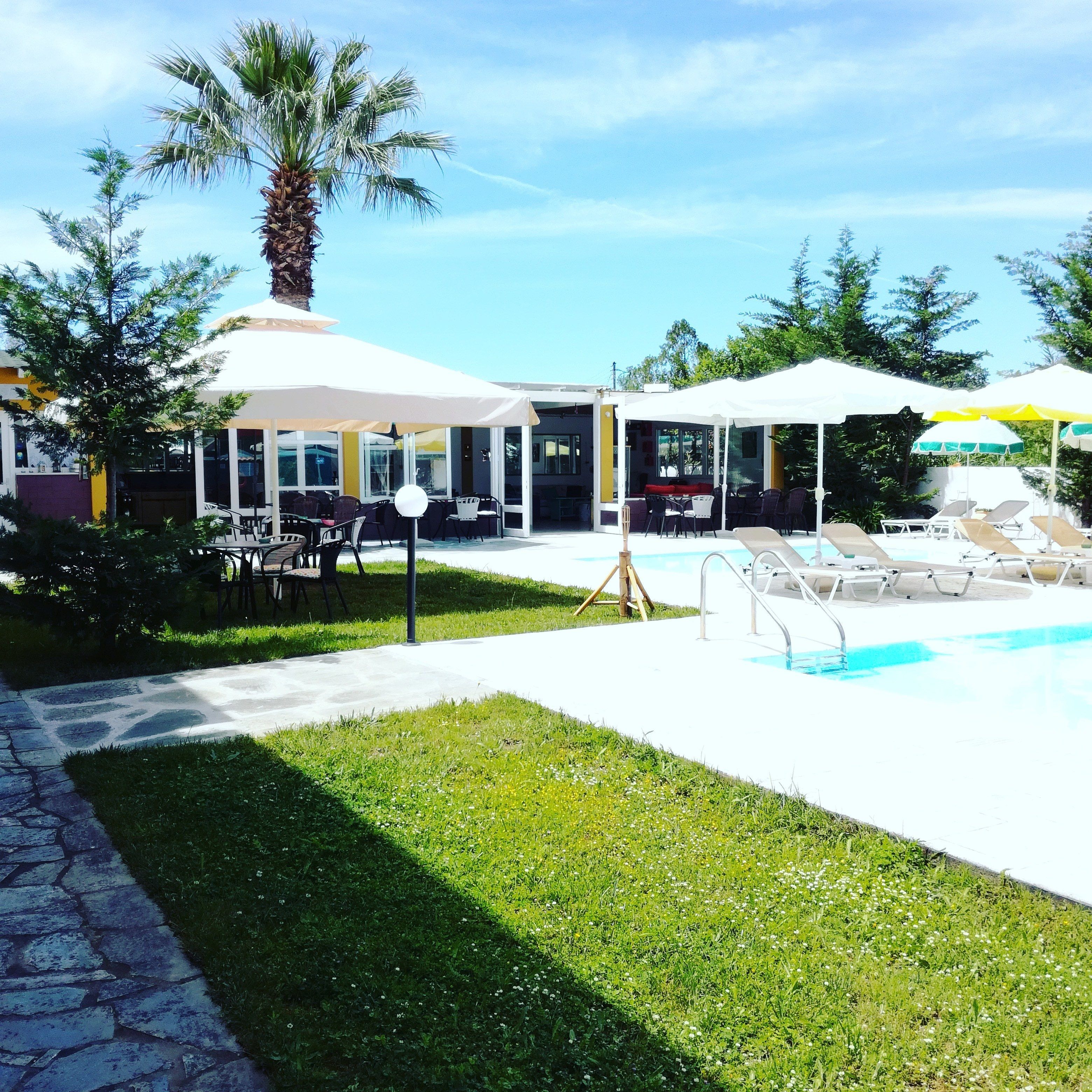 A poolside area with lounge chairs, umbrellas, and a palm tree.