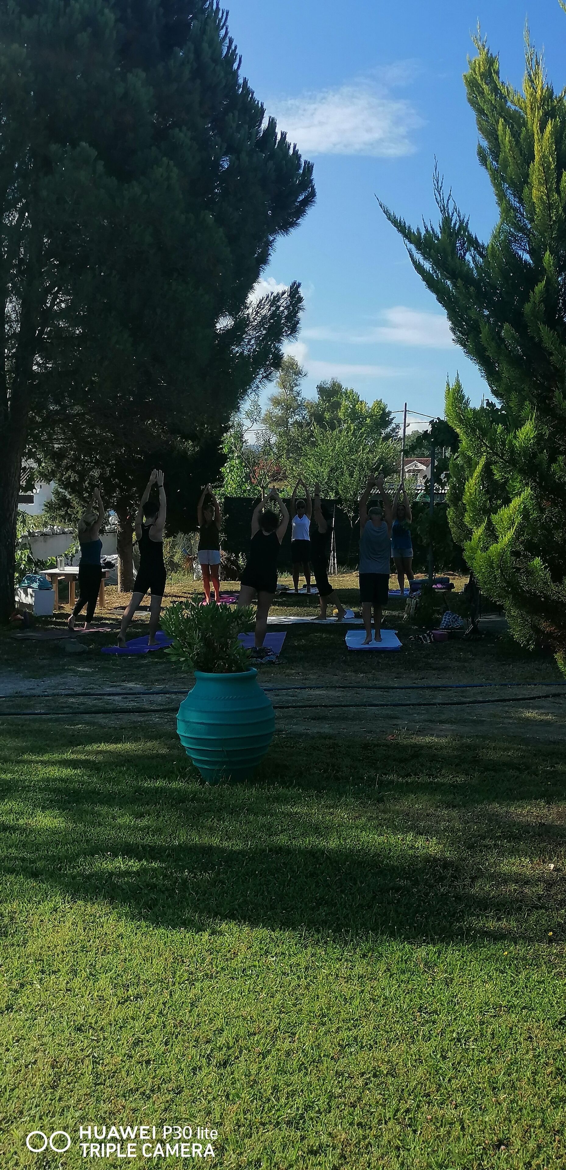 Um grupo de pessoas praticando yoga ao ar livre, com árvores e uma área gramada.