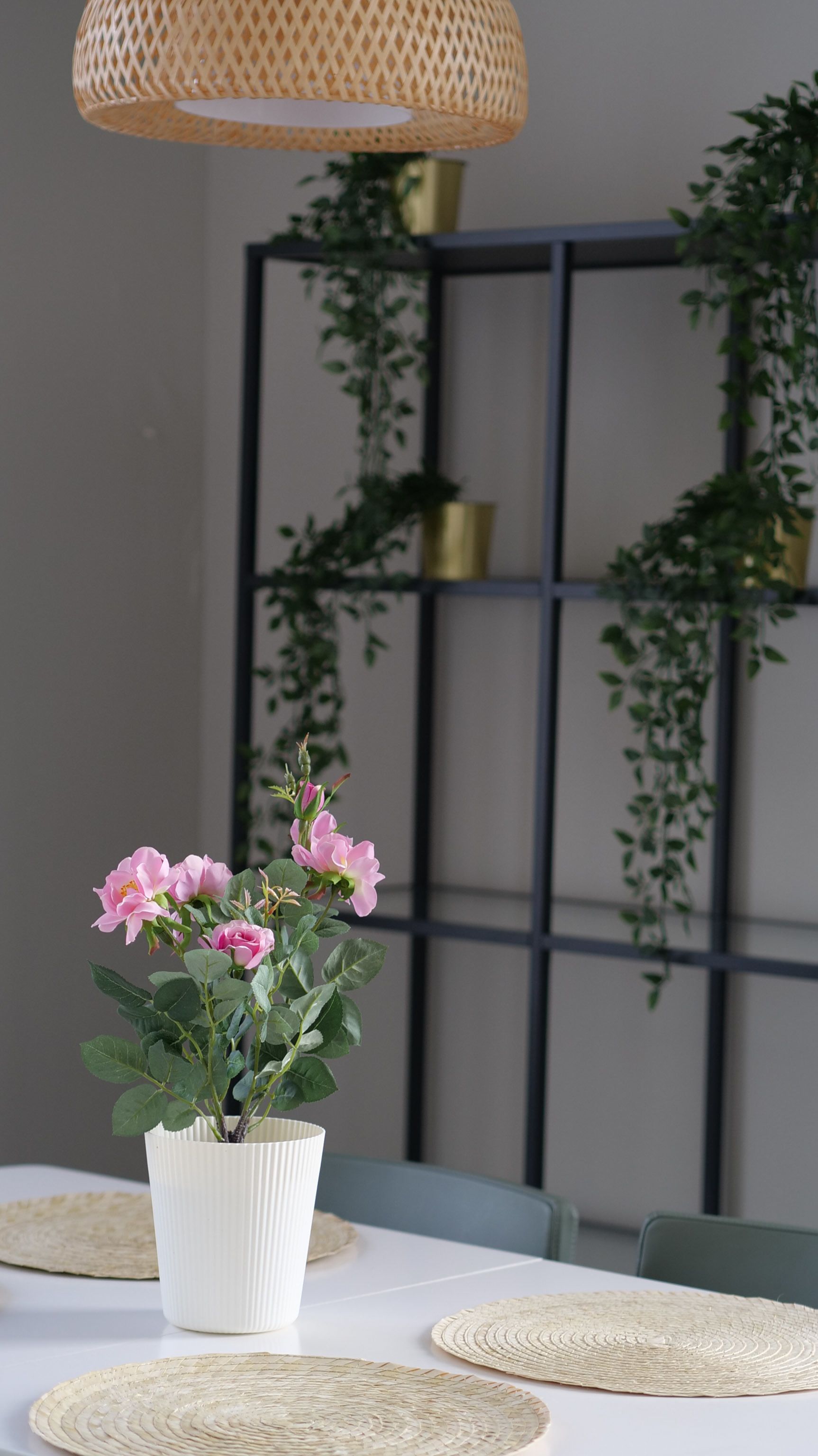 Photo - Casa Conforto