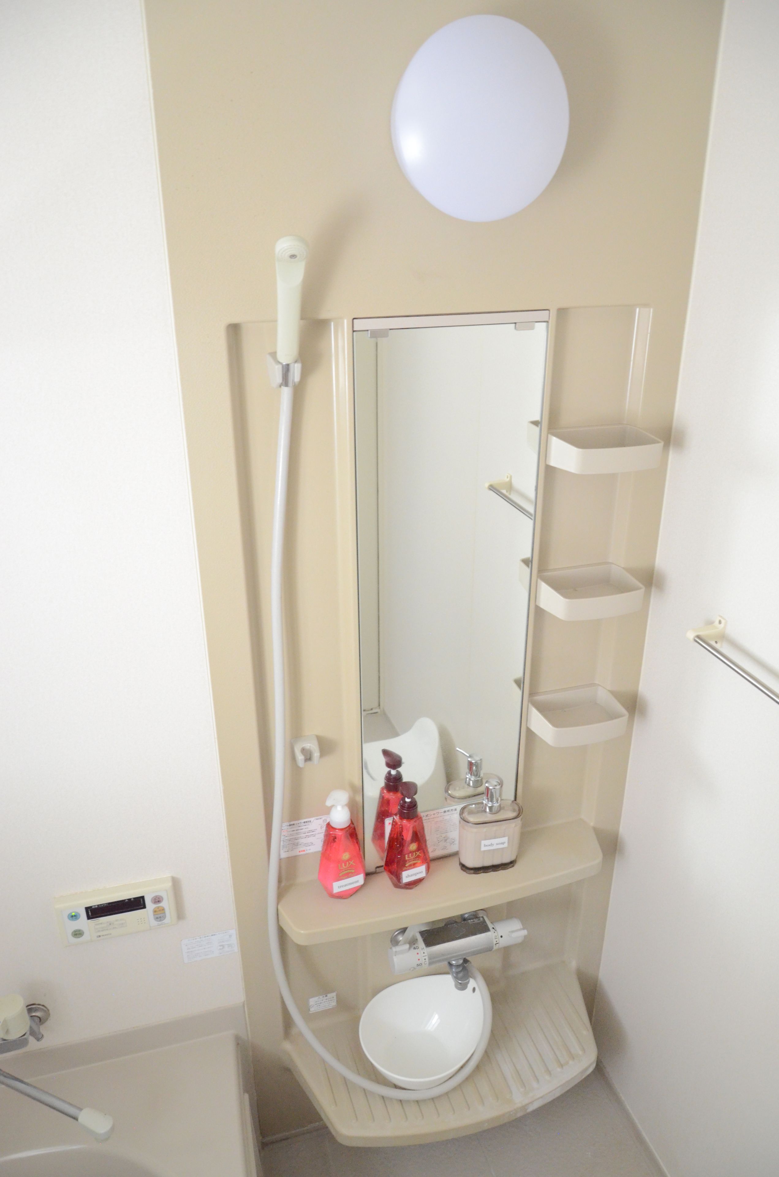 A bathroom with a white sink, a mirror, a handheld showerhead, and a toilet paper holder.