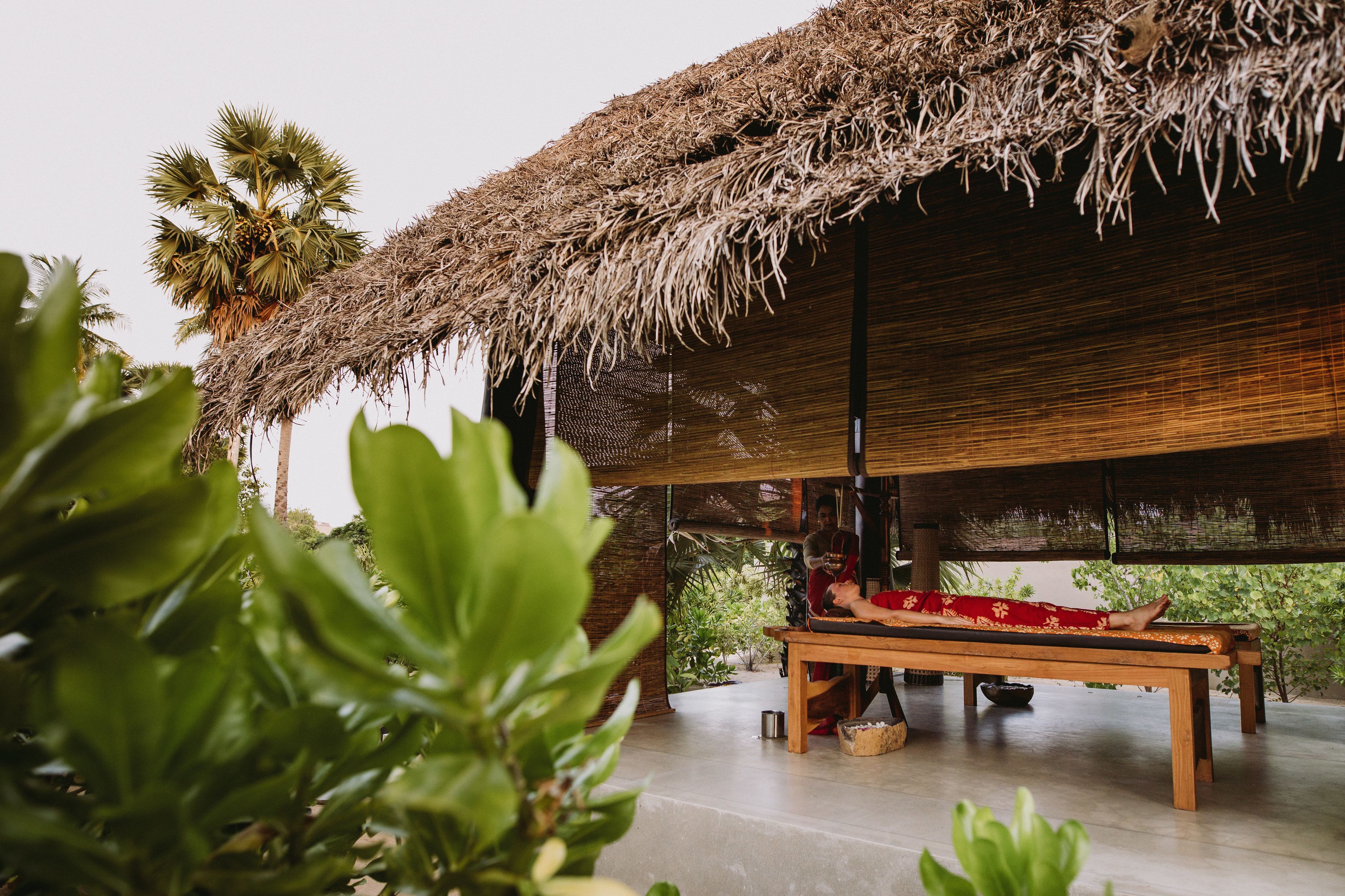 A room with a thatched roof, a wooden bench, and a view of greenery.