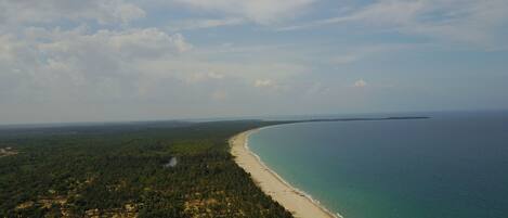An aerial view of a beach with dense palm trees and a clear sky.