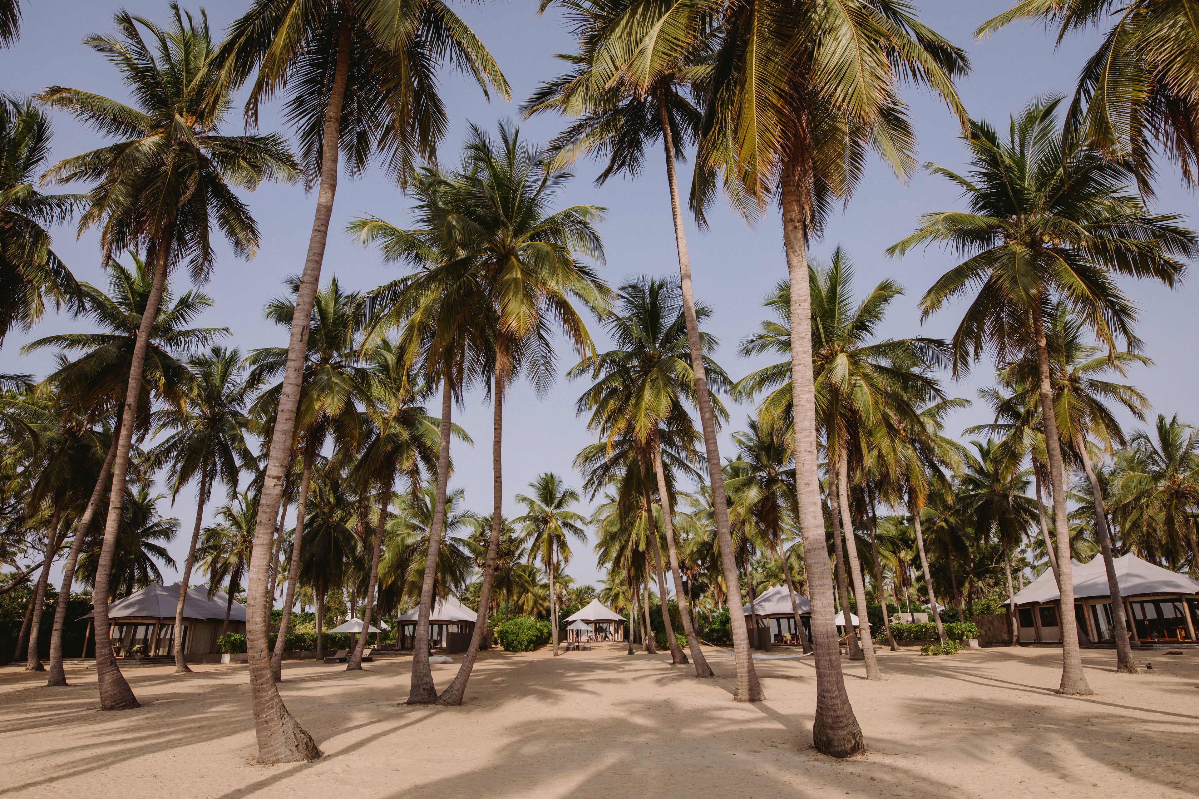 palam suite | beach/ocean view