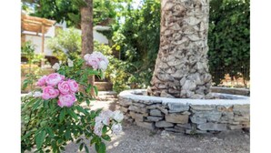 A garden with a stone fountain, lush greenery, and flowering plants. - Amazing 1-Bedroom House in Tinos (Tinos)